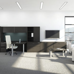 Private Office with Open and Closed Storage